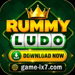 RUMMY LUDO ONLINE EARNING POTENTIAL icon